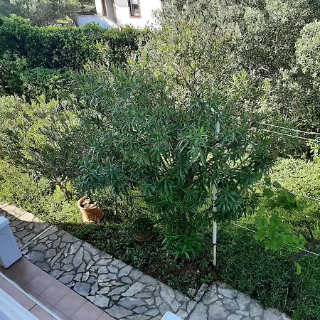 Mirta Apartmán Starigrad Paklenica