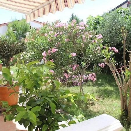 Mirta Starigrad Paklenica